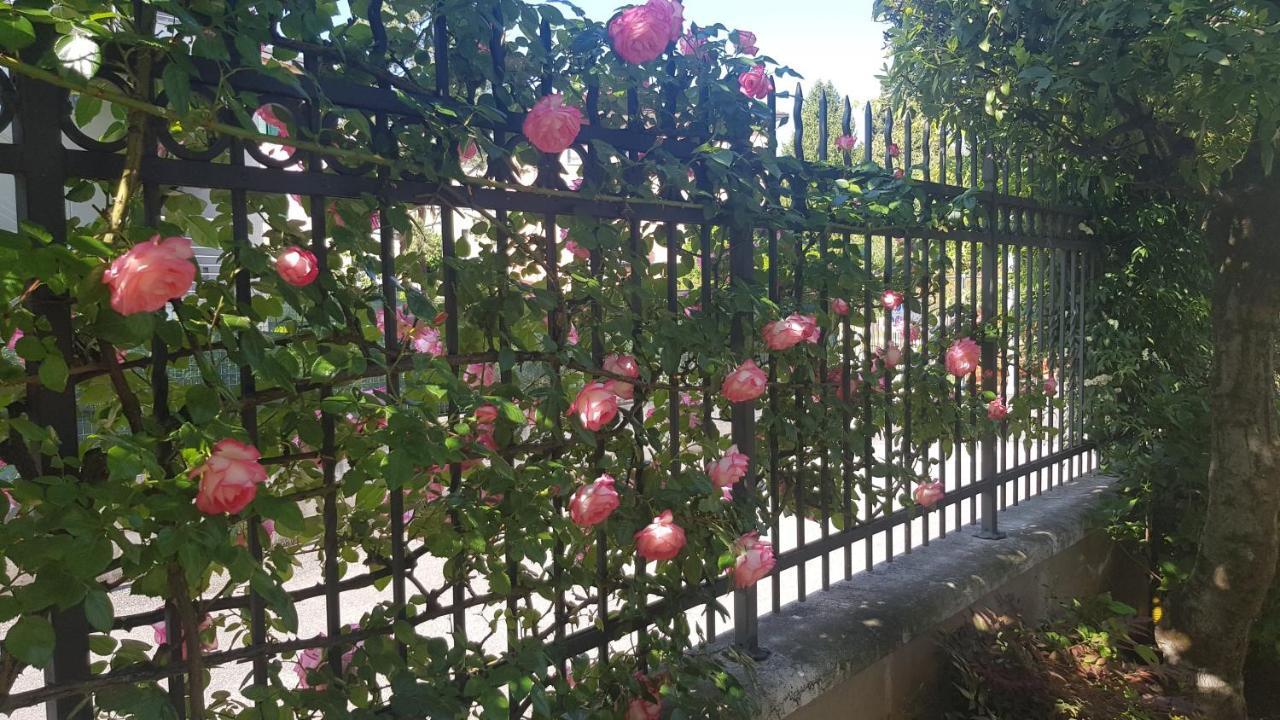 Appartamento Modenese 8 Peschiera del Garda Luaran gambar