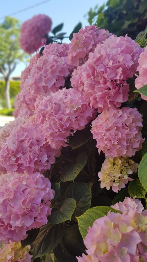 Appartamento Modenese 8 Peschiera del Garda Luaran gambar
